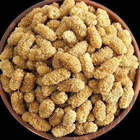 قیمت خرید توت خشک درشت با فروش عمده