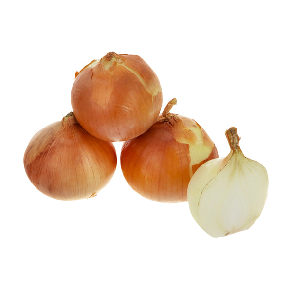 فروش پیاز ضد باکتری + قیمت خرید به صرفه