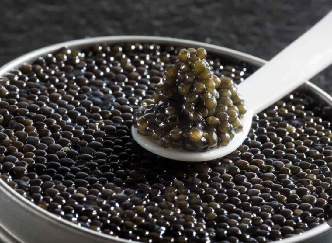 قیمت ویژه خاویار بلوگا