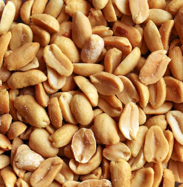 فروش بادام زمینی برشته ایرانی + قیمت خرید به صرفه