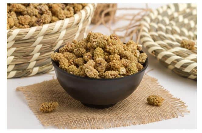 خرید و قیمت توت خشک ارگانیک + فروش عمده