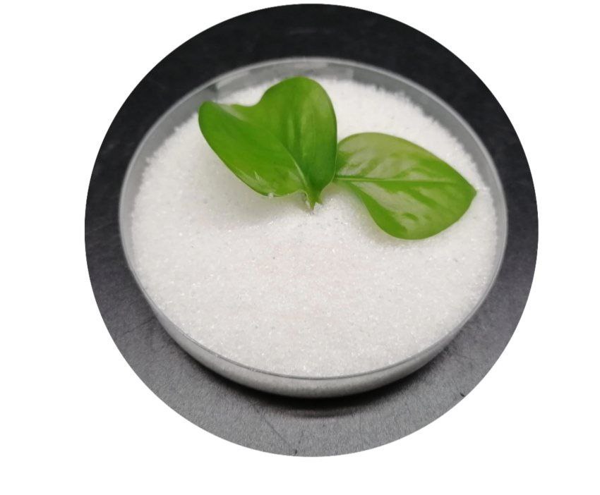 تصویر 2 از کشاورزی هوشمند با استفاده از هیدروژل و خاک ژله‌ ای