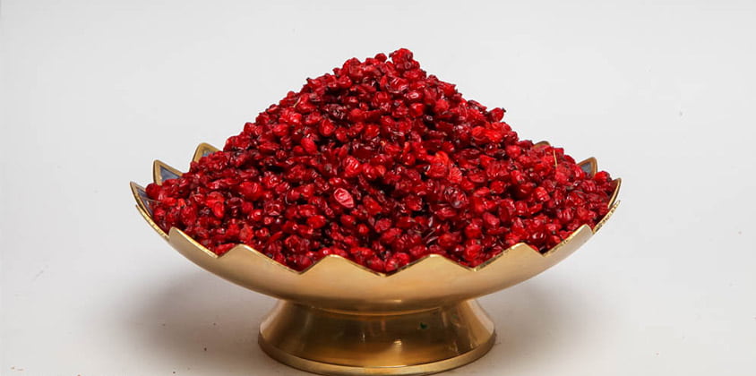 فروش زرشک جنگلی + قیمت خرید به صرفه