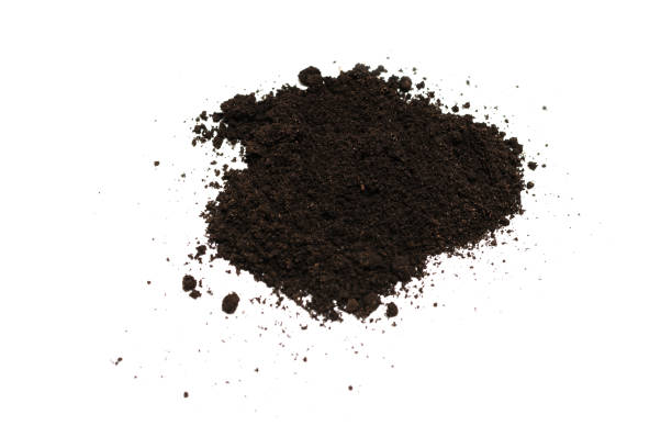 قیمت نانو پودر اکسید آهن + خرید باور نکردنی