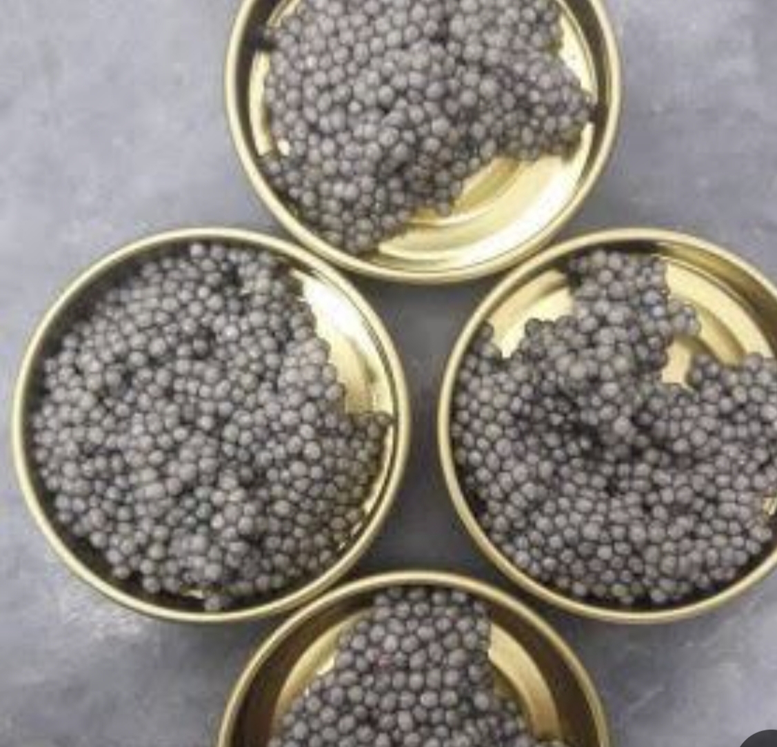 قیمت عمده خاویار بلوگا