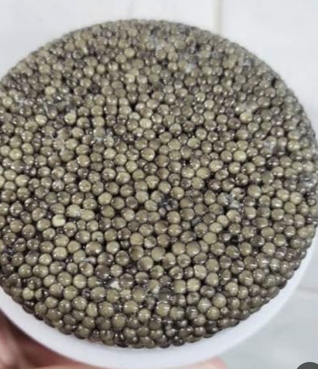 قیمت خاویار بلوگا