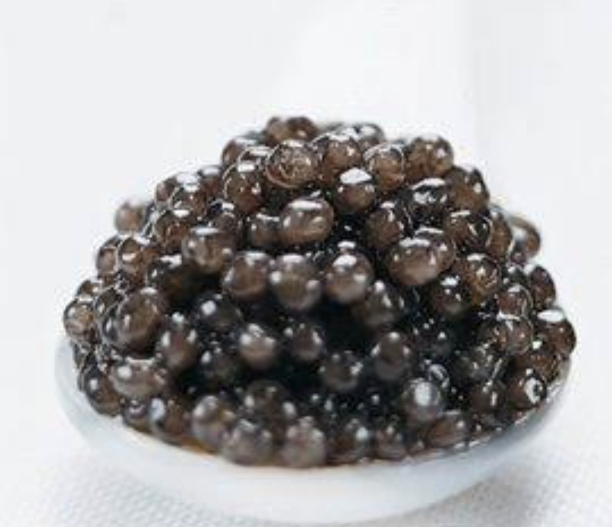 خاویار بلوگا قیمت ویژه