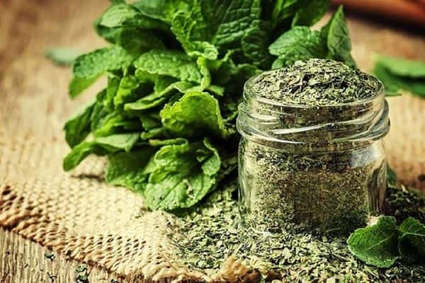 قیمت نعنا خشک اعلا + خرید باور نکردنی