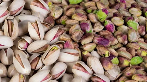 قیمت پسته اکبری سفید با کیفیت ارزان + خرید عمده