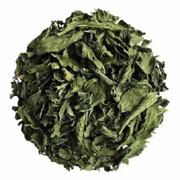 قیمت خرید برگ نعنا خشک با فروش عمده