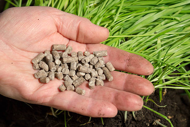 خرید و قیمت کود آلی حاوی ریز مغذی + فروش عمده