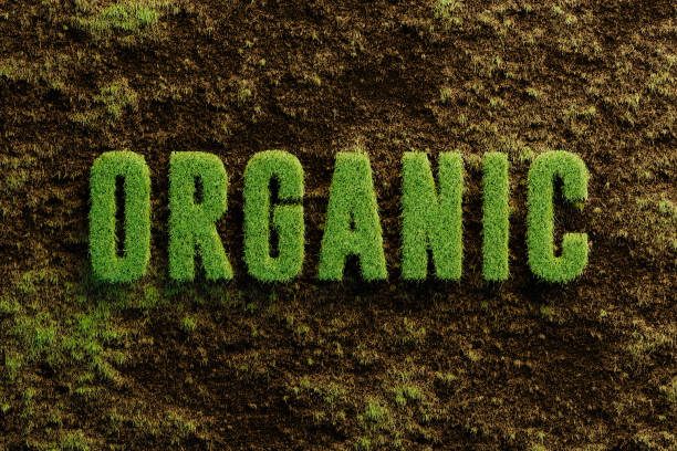 قیمت کود آلی ارگانیک + خرید باور نکردنی