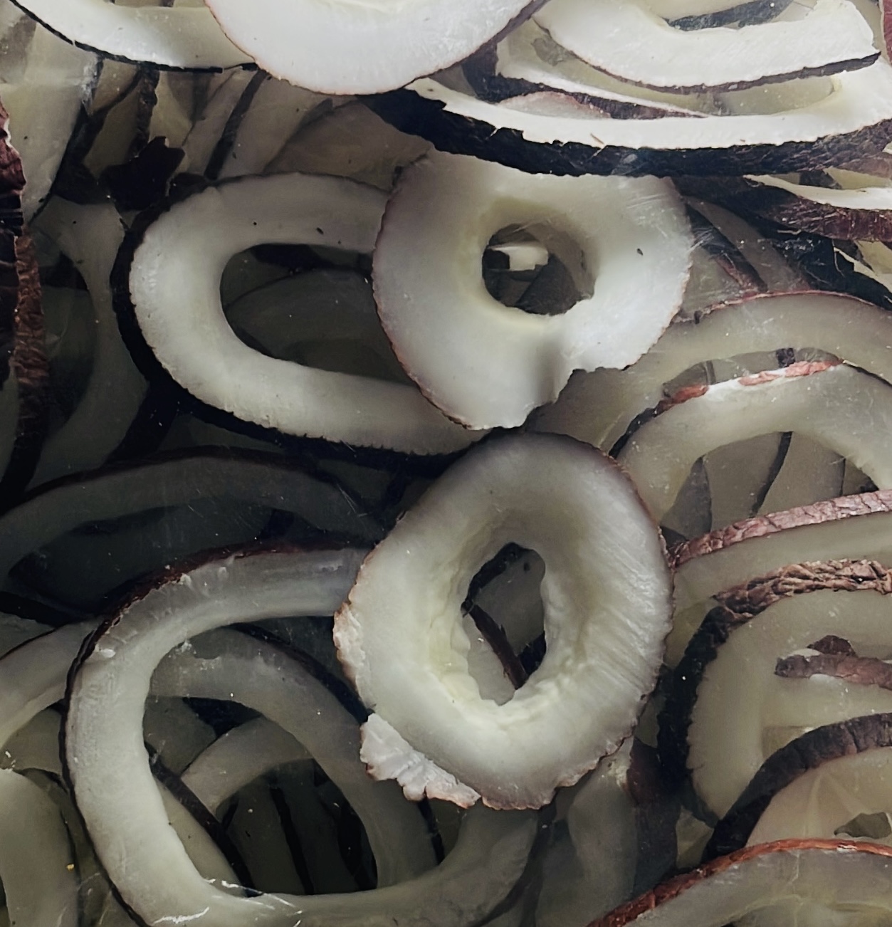 فروش عمده و جزئی نارگیل قاب حلقه کامل برند کرشمه