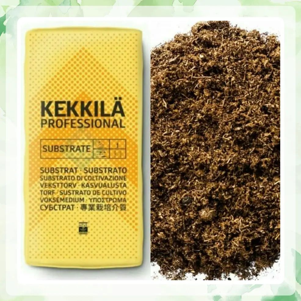 خرید فوری پبت ماس ککیلا 300 لیتری + قیمت منصفانه