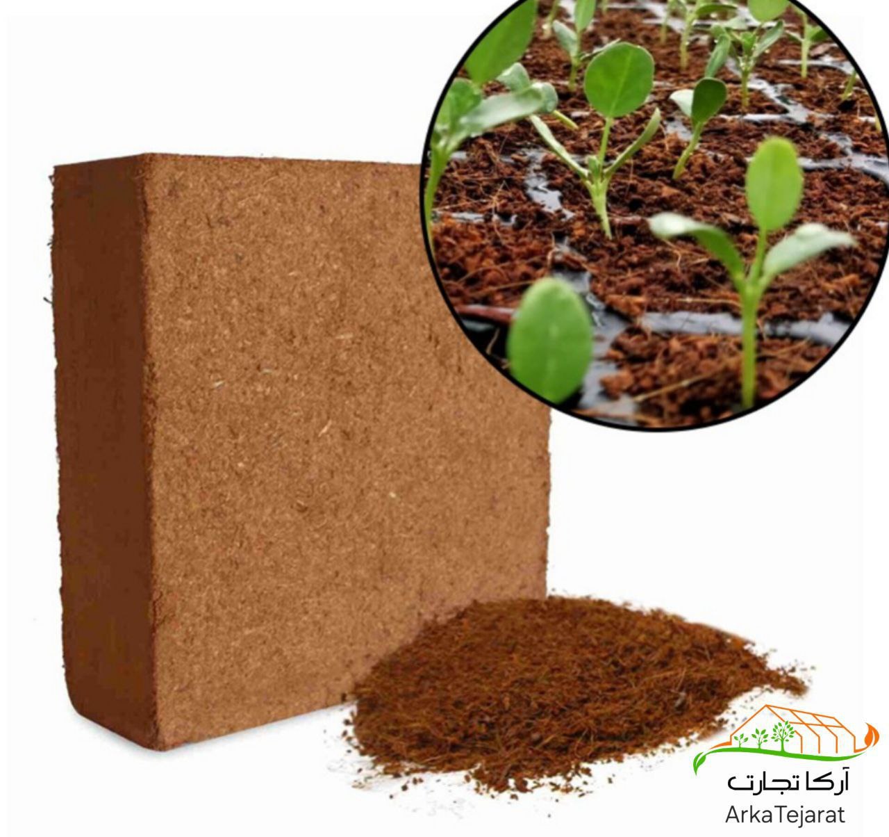 تصویر 2 از خرید عمده اینترنتی کوکوپیت آتلانتیس فاین + قیمت مناسب