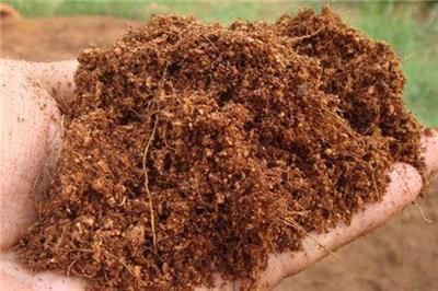 تصویر 1 از خرید عمده اینترنتی کوکوپیت آتلانتیس فاین + قیمت مناسب