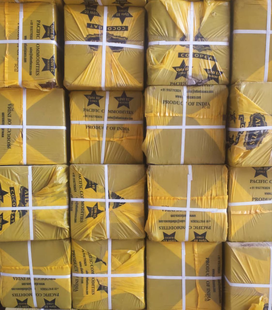 خرید نقدی و عمده کوکوپیت آتلانتیس هندی + قیمت پایین