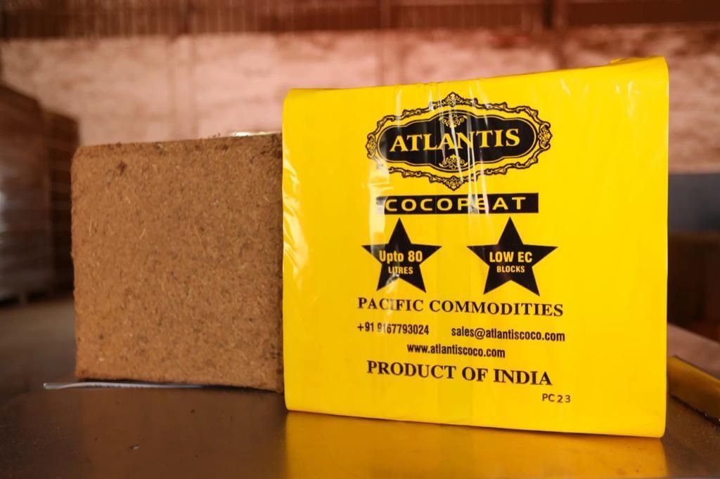 تصویر 4 از خرید نقدی و عمده کوکوپیت آتلانتیس هندی + قیمت پایین