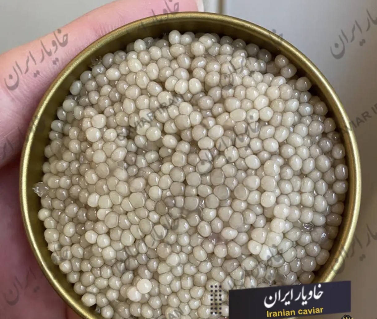 خاویار بلوگا امپریال تاپ مناسب سرو مجلسی و پذیرایی