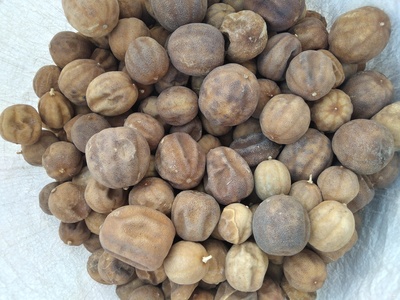 تصویر 2 از خرید و قیمت لیمو خشک + فروش عمده