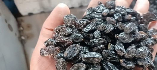 مویز ترکمن ۴ بدون هسته