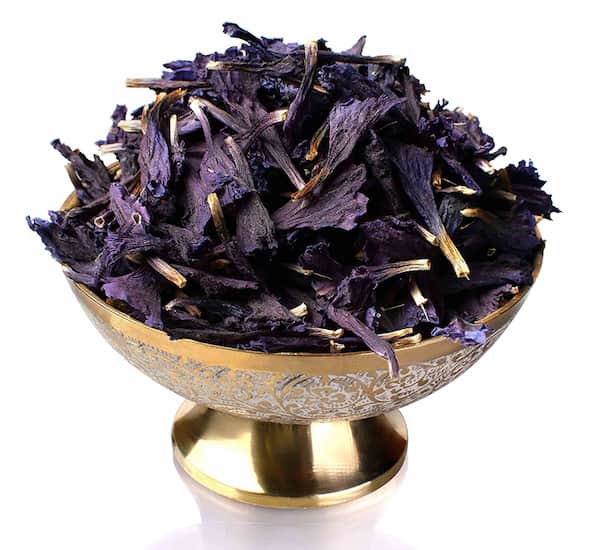 قیمت گل گاو زبان ایرانی با کیفیت ارزان + خرید عمده