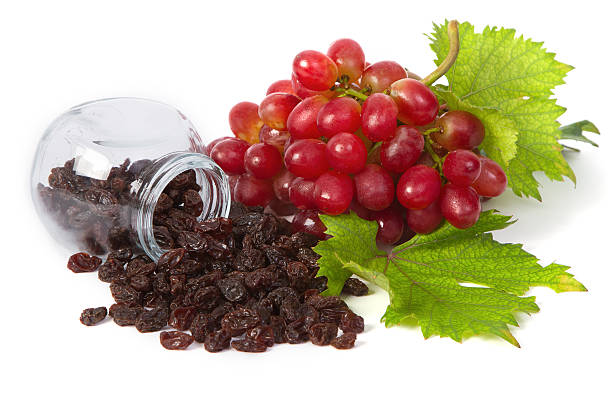 فروش کشمش آفتابی بدون هسته + قیمت خرید به صرفه