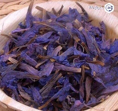 خرید و فروش گل گاو زبان اصل با شرایط فوق العاده