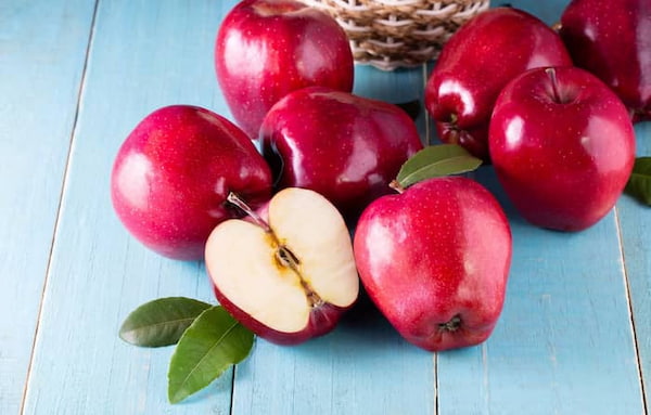 قیمت خرید سیب جنگلی قرمز + فروش ویژه