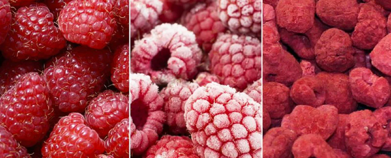 قیمت خرید میوه خشک پفکی عمده + فروش ویژه