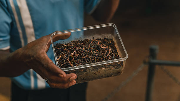 قیمت کود ورمی کمپوست فله‌ ای + فروش ویژه