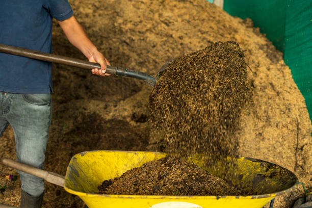 تصویر 3 از قیمت کود ورمی کمپوست فله‌ ای + فروش ویژه