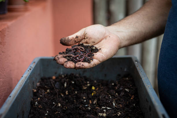 تصویر 1 از قیمت کود ورمی کمپوست فله‌ ای + فروش ویژه