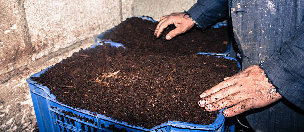 کود ارگانیک ورمی کمپوست + قیمت فروش ویژه