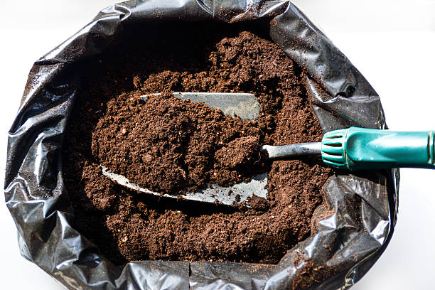 تصویر 4 از قیمت کود ورمی کمپوست کیلویی + فروش به صرفه