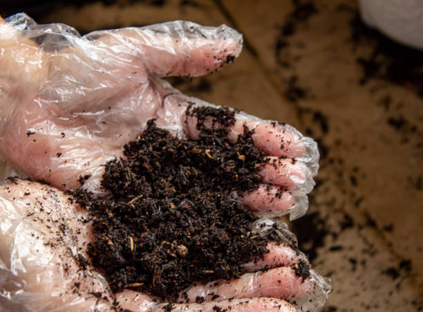 تصویر 3 از قیمت کود ورمی کمپوست کیلویی + فروش به صرفه