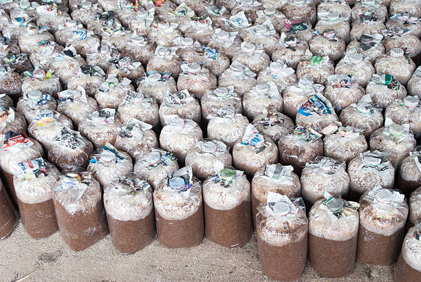 تصویر 1 از فروش کود ورمی کمپوست اصفهان + قیمت عمده