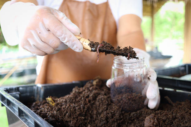 فروش کود ورمی کمپوست اصفهان + قیمت عمده