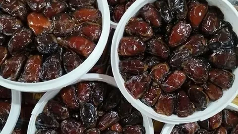 قیمت خرما کبکاب صادراتی + خرید باور نکردنی
