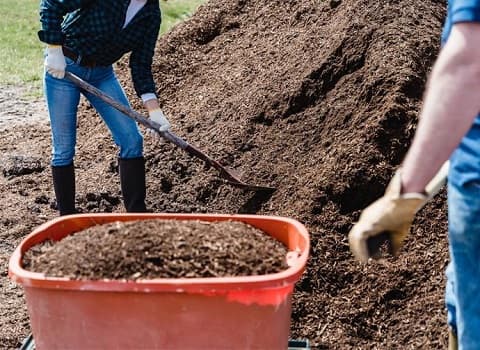 قیمت خرید کود دامی درجه یک با فروش عمده