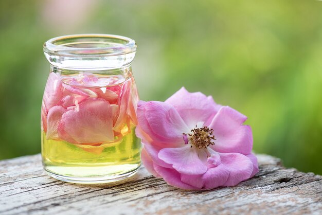 قیمت گلاب اعلا + خرید باور نکردنی