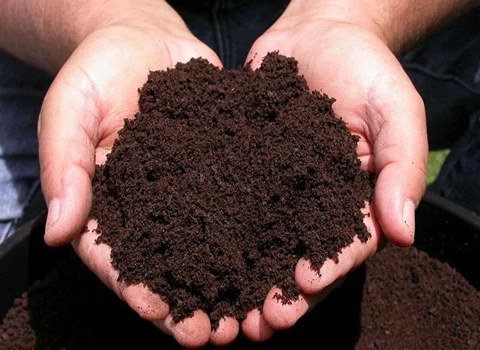 قیمت خرید کود حیوانی عمده به صرفه و ارزان