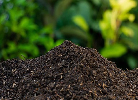 خرید و قیمت کود حیوانی درجه یک + فروش صادراتی