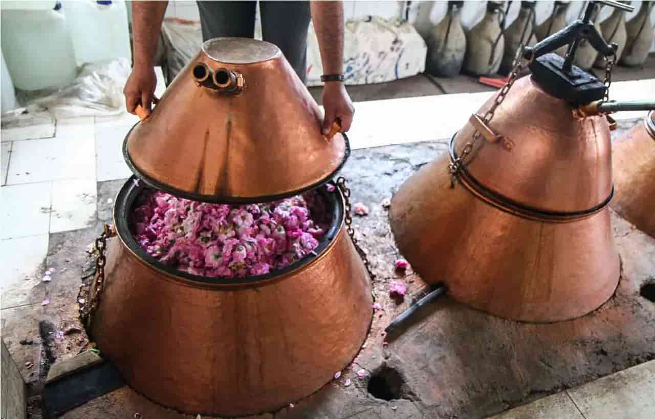 تصویر 3 از قیمت خرید گلاب کرمان + فروش ویژه