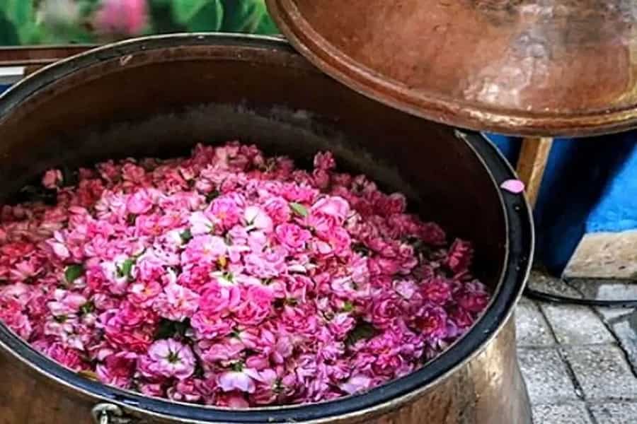 تصویر 3 از خرید و فروش گلاب صادراتی با شرایط فوق العاده