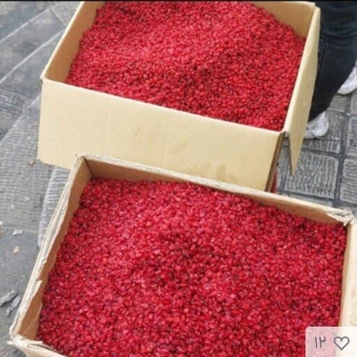 فروش زرشک زیر تالاری + قیمت خرید به صرفه