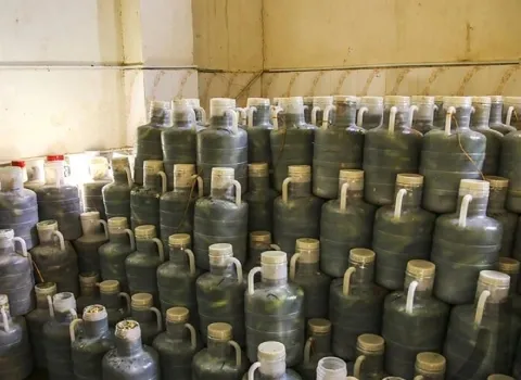 قیمت خرید خیارشور دبه ای + فروش ویژه