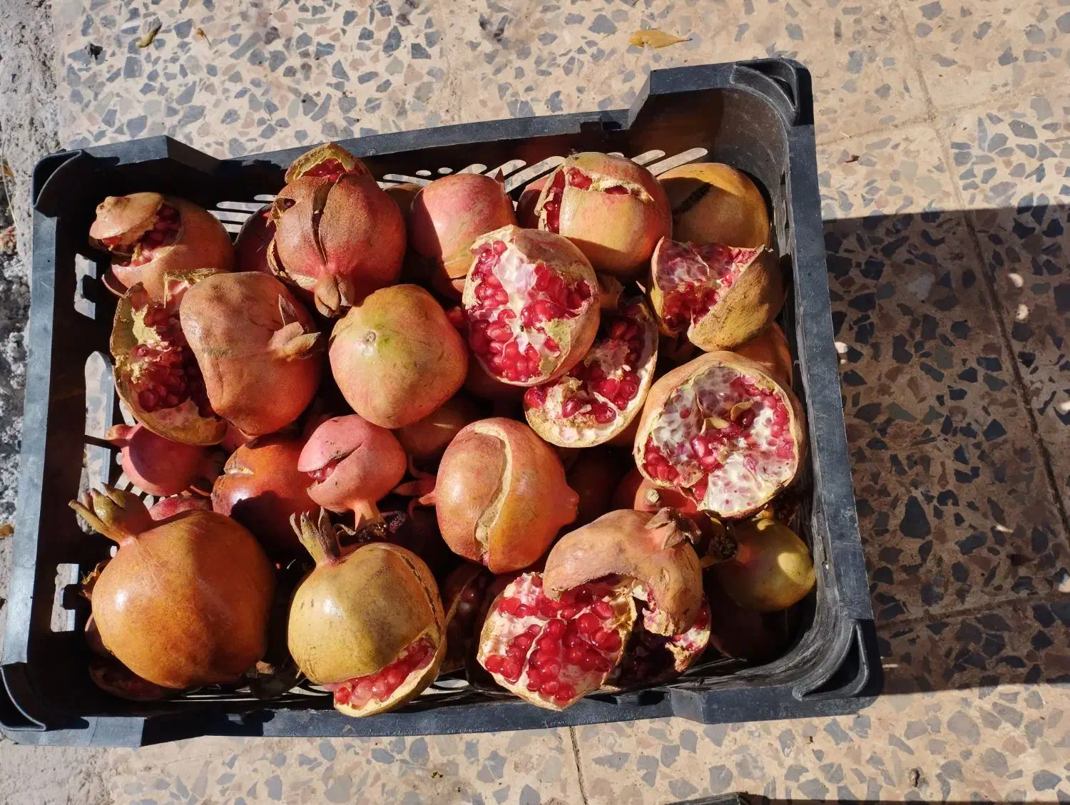 تصویر 1 از قیمت انار شکسته رباب با کیفیت ارزان + خرید عمده