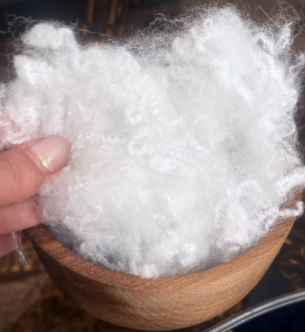 تصویر 5 از قیمت خرید الیاف سالید سیلیکونی اصل عمده به صرفه و ارزان