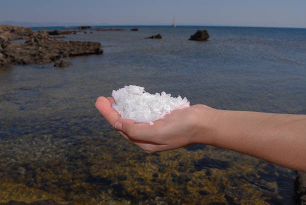 قیمت خرید نمک تصفیه شده دریا عمده به صرفه و ارزان